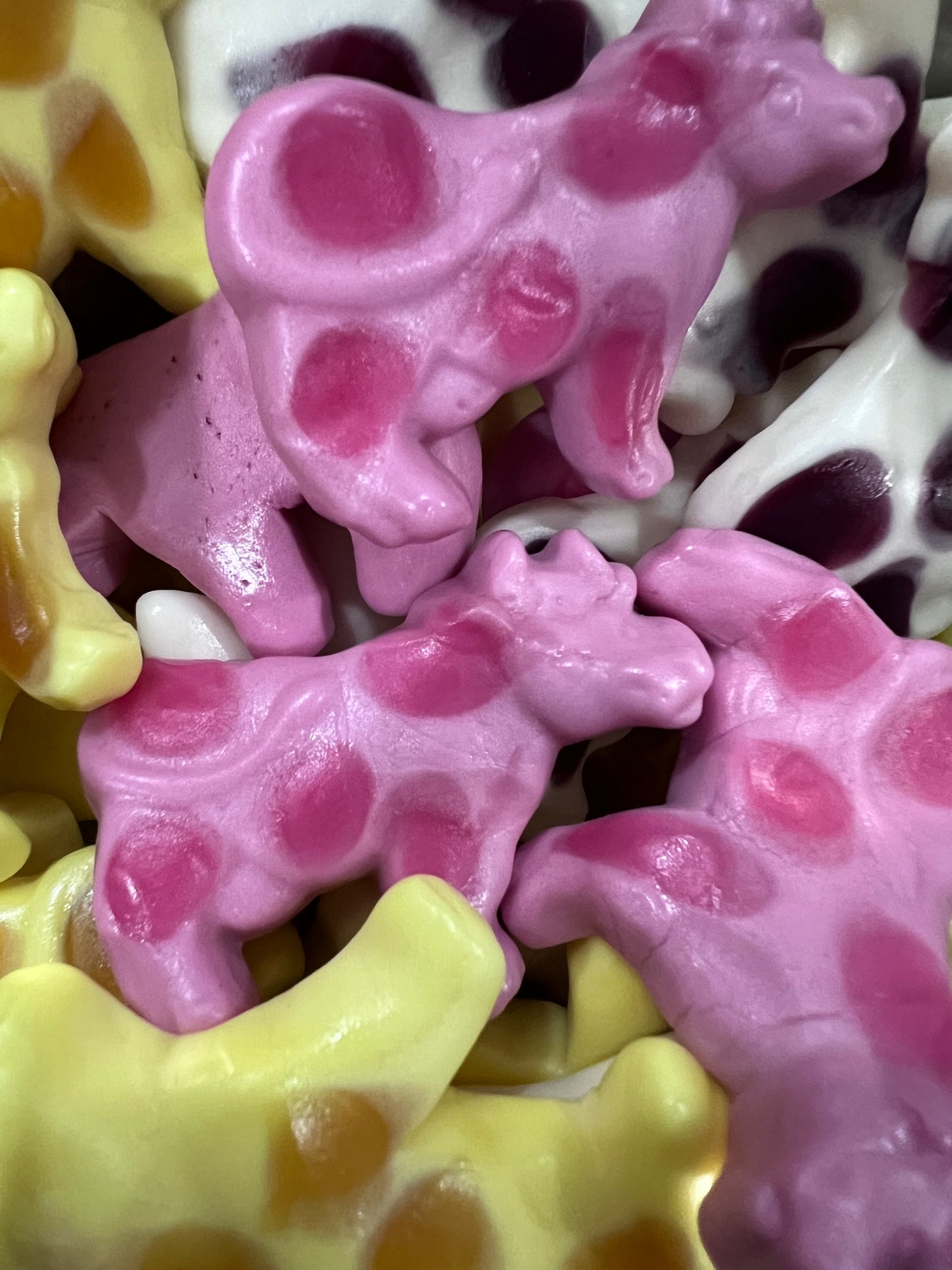 Vache au lait - 100G