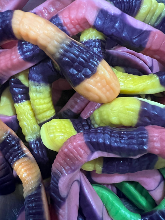 Anaconda XL - (lot de 3)