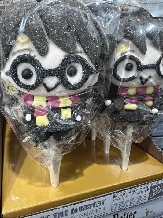 Sucette Harry Potter - (à l'unité)