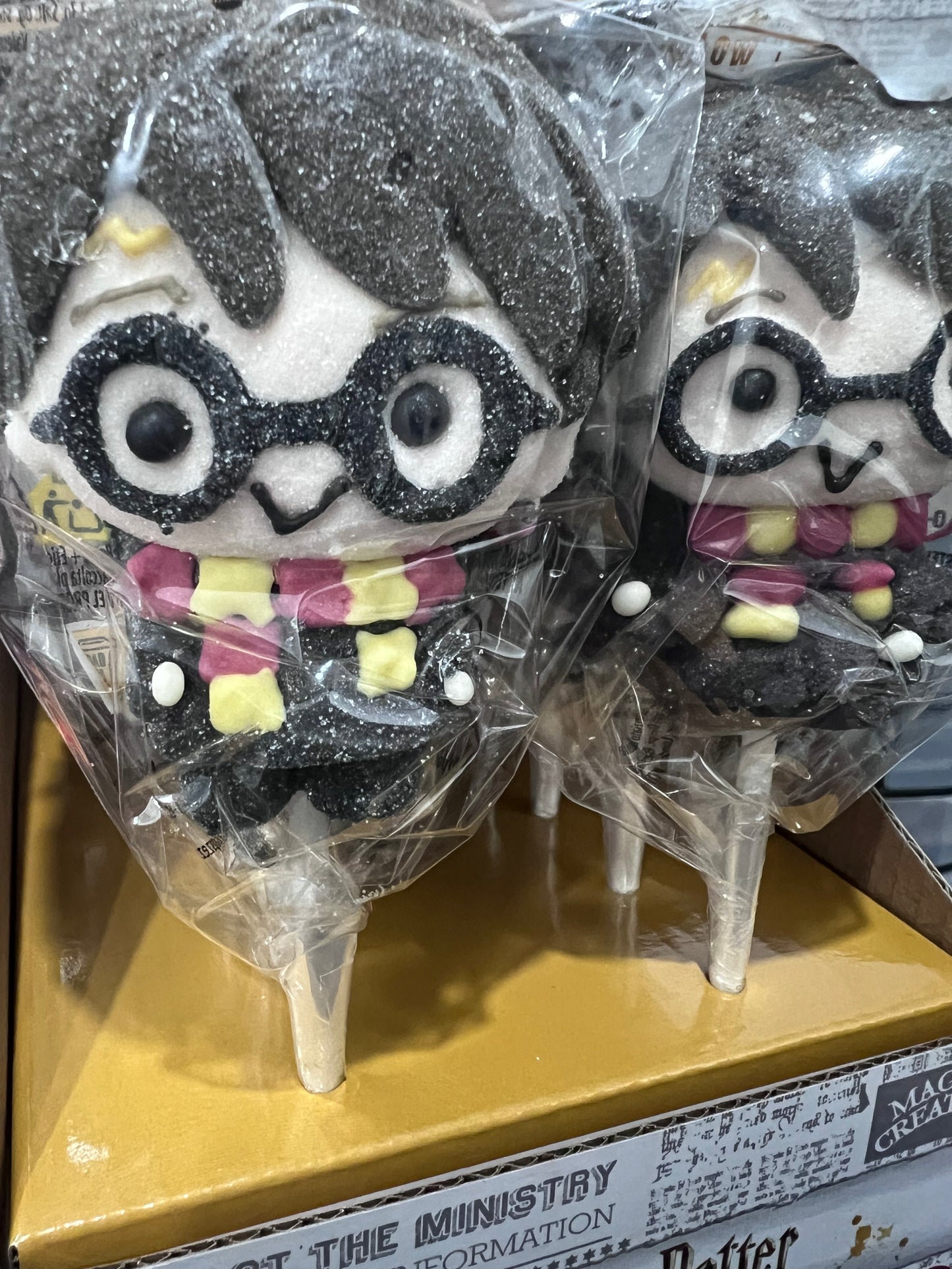 Sucette Harry Potter - (à l'unité)